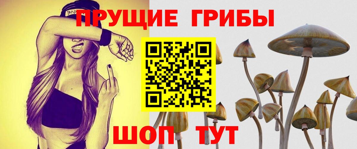 Урюпинск  купить закладку  Вход с VPN  Псилоцибиновые грибы MAGIC MUSHROOMS 