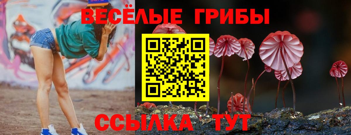 Галлюциногенные грибы Cubensis Урюпинск